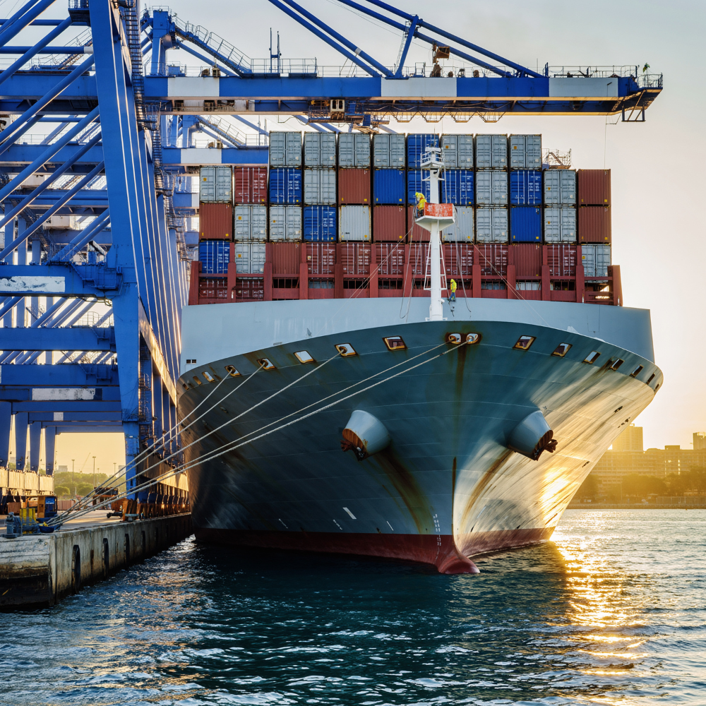 Untitled design - 2026-02-26T180448.410