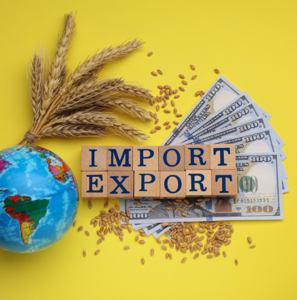 import - export (1)